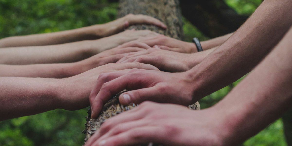 mains sur un tronc d’arbre